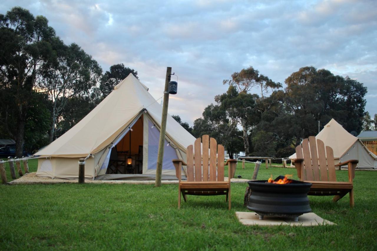 Pine Country Caravan Park Mount Gambier Exteriör bild