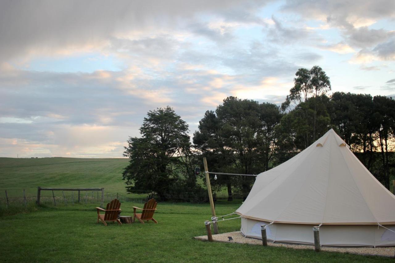 Pine Country Caravan Park Mount Gambier Exteriör bild