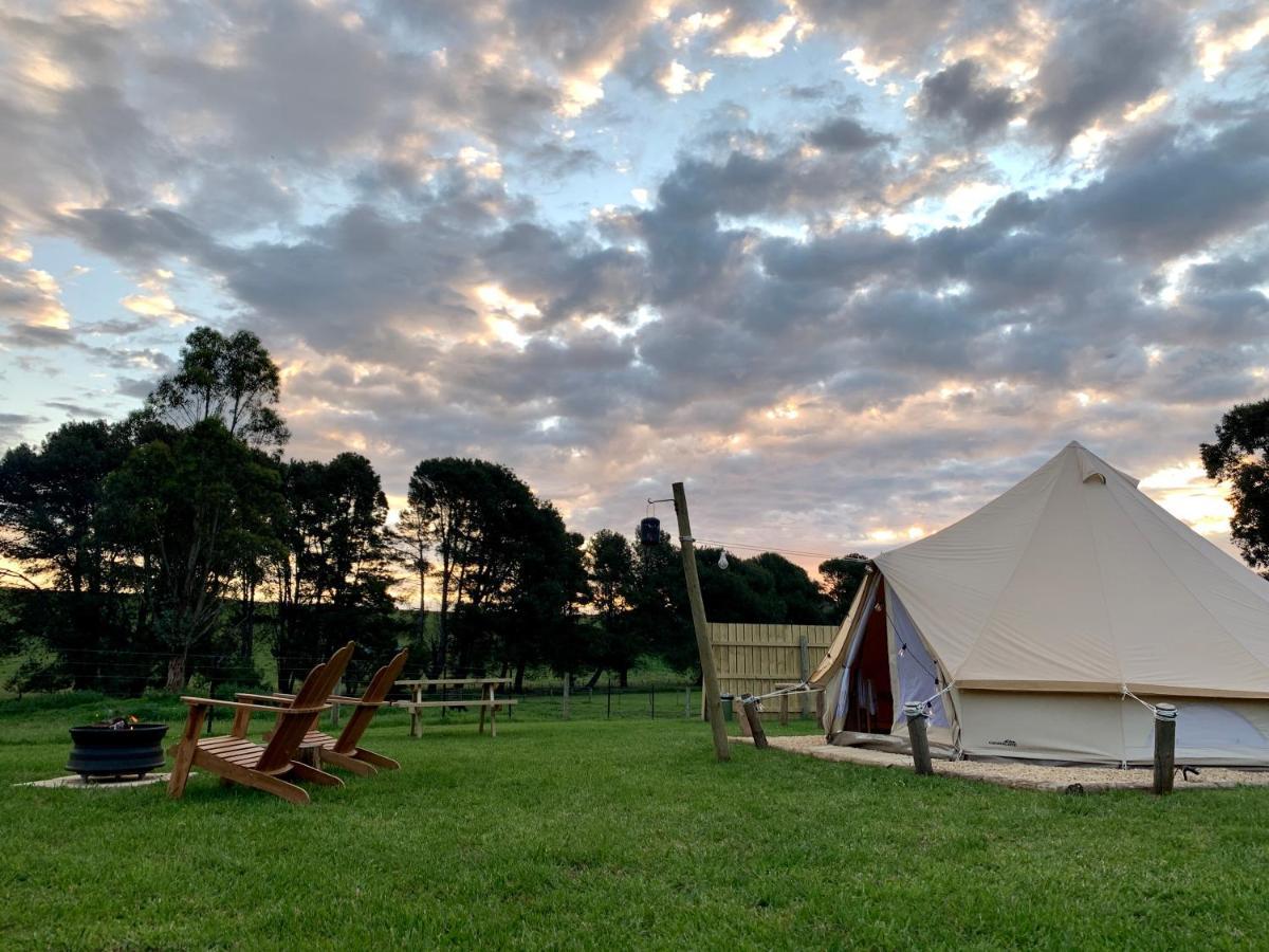 Pine Country Caravan Park Mount Gambier Exteriör bild