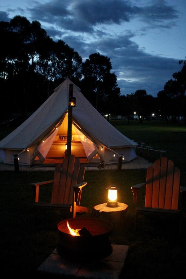 Pine Country Caravan Park Mount Gambier Exteriör bild